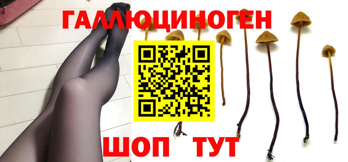 Иваново  Псилоцибиновые грибы Psilocybine cubensis  Вход с VPN  Псилоцибиновые грибы Psilocybe 